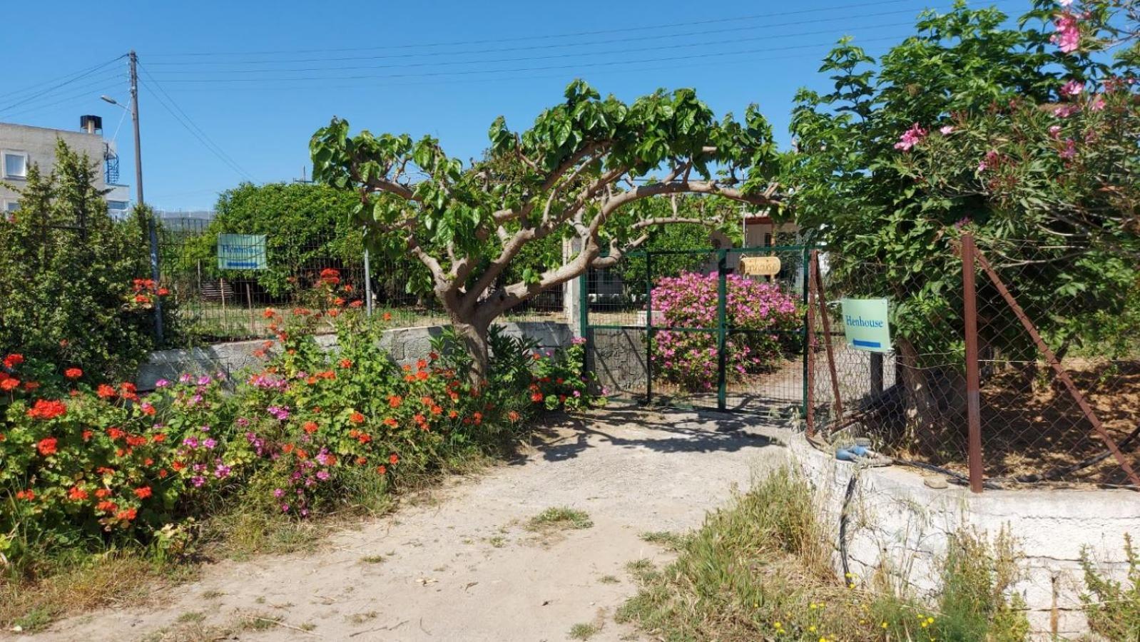 Agritourism Cottage Near Sitia Sitia (Crete) Exterior foto